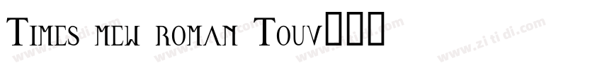 Times mew roman Touv字体转换